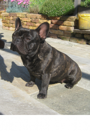 Moeder Sofie